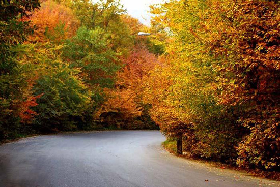 جاذبه های دیدنی و مکان های مناسب برای سفر پاییزی مکان های مناسب برای سفر پاییزی