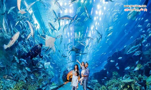 جاذبه های گردشگری و جاهای دیدنی رایگان دبی