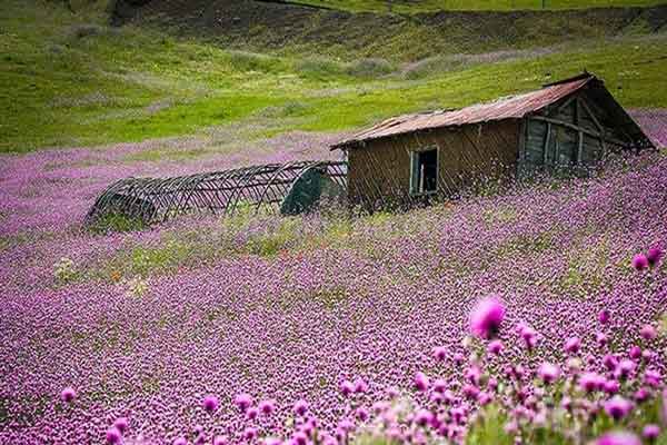 تالش گردی در روزهای بهاری ؛ یکی از بکرترین مقاصد برای عاشقان طبیعت