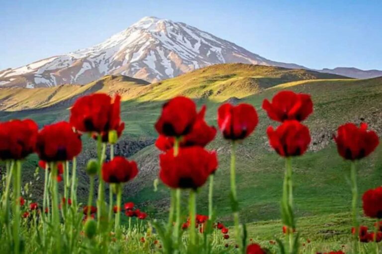 ۱۰ منطقه دیدنی در اطراف تهران برای سفرهای ۱ روزه + فیلم