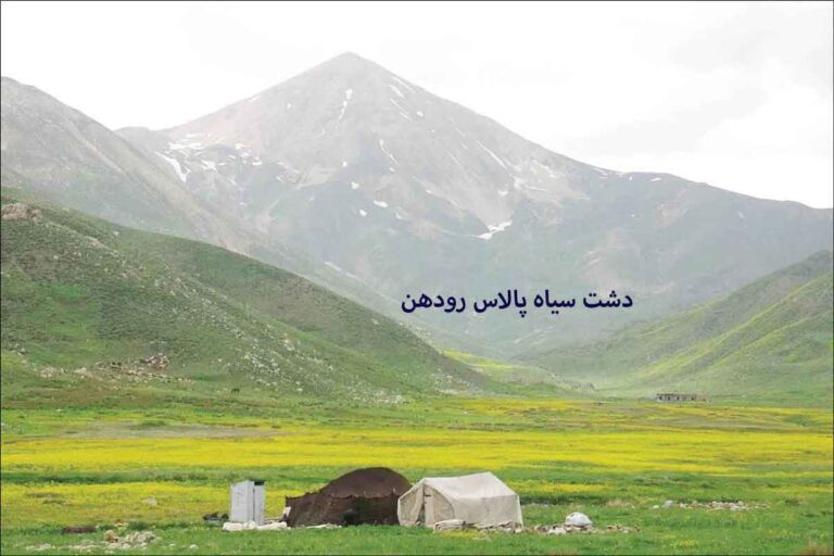 دشت سیاه پالاس رودهن ؛ سفرهای یکروزه و طبیعتگردی در اطراف تهران با ماهی قزلآلای خال قرمز