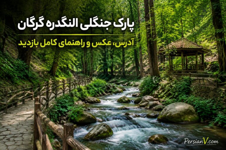 بهشت پاییزی گرگان ؛ پارک جنگلی النگدره، نگینی سبز در دل شمال ایران