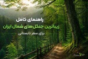زیباترین جنگل‌های شمال ایران برای سفر تابستانی + آدرس