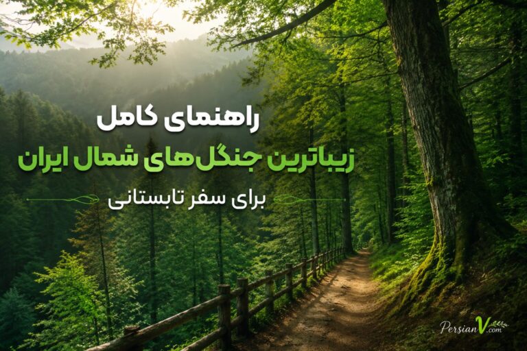 زیباترین جنگل‌های شمال ایران برای سفر تابستانی + آدرس