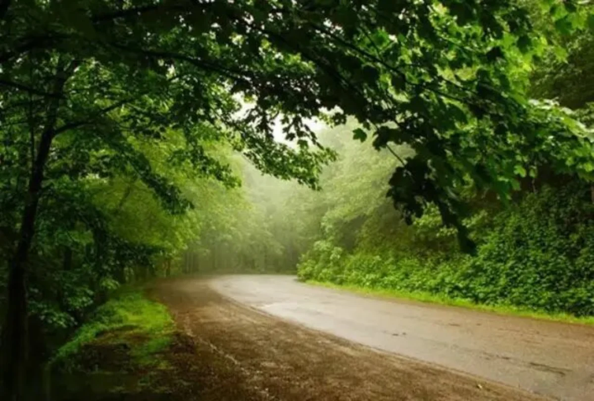 زیباترین جادههای ایران؛ ۱۰ مسیر دیدنی و خنک برای سفر تابستانی زیباترین جادههای ایران؛ ۱۰ مسیر دیدنی و خنک برای سفر تابستانی