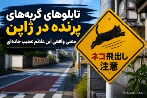 راز تابلوهای «گربههای پرنده» در جادههای ژاپن؛ این تصویر بامزه یک هشدار جدی است