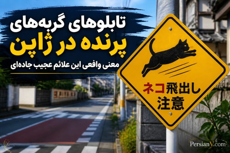 راز تابلوهای «گربههای پرنده» در جادههای ژاپن؛ این تصویر بامزه یک هشدار جدی است