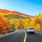 آخر هفته اطراف تهران کجا برویم؟ ۴ جای دیدنی برای گردش پاییزی