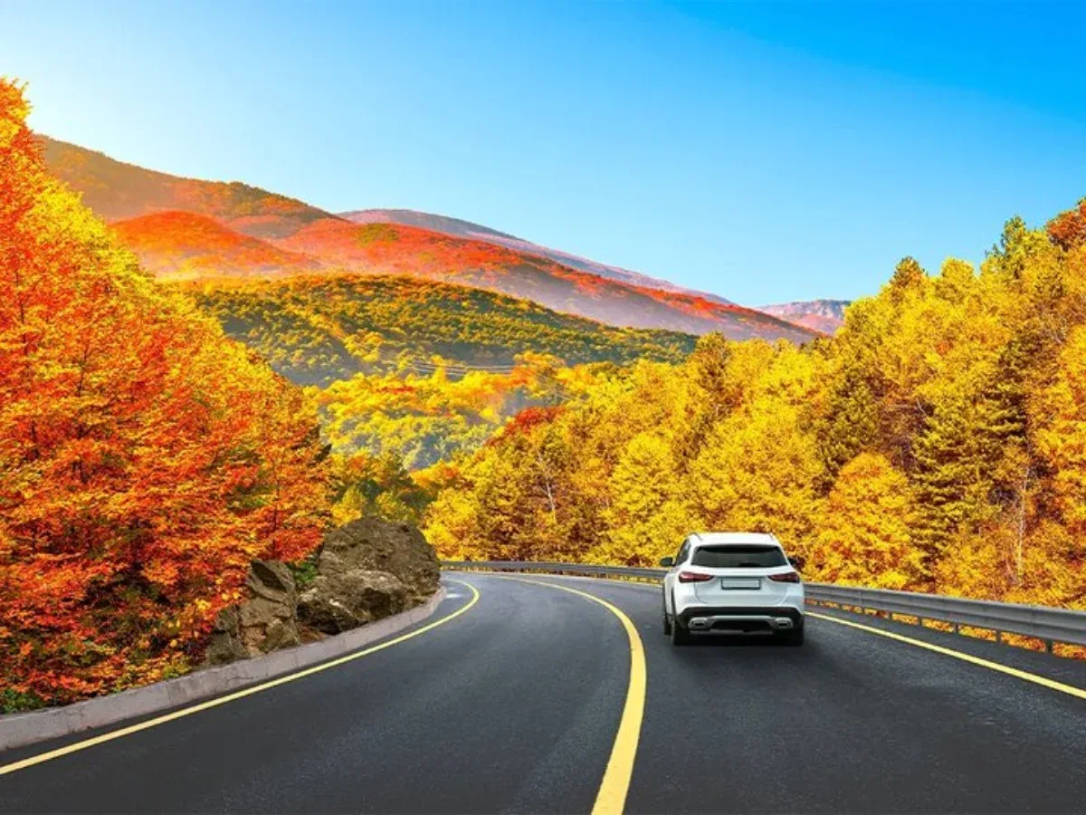آخر هفته اطراف تهران کجا برویم؟ ۴ جای دیدنی برای گردش پاییزی