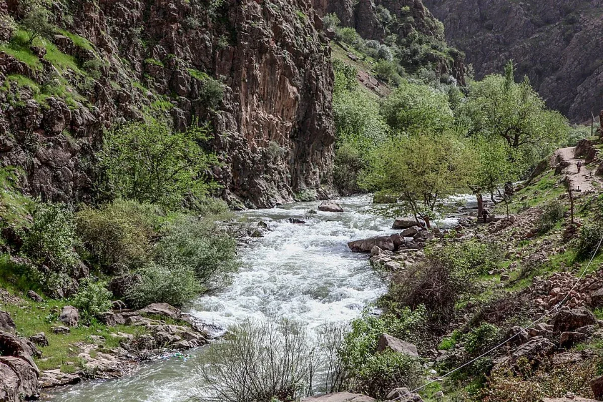 رودخانه خروشان در دره سنگی اطراف پالنگان با درختان سبز و دیواره‌های مرتفع کوه