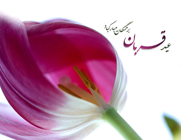 اس ام اس عید سعید قربان 2