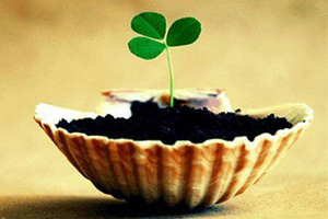 اس ام اس فلسفی و معنی دار 46