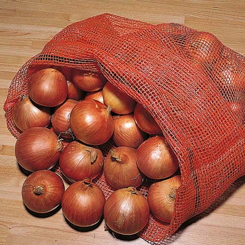 داستان جالب چند پیاز در کیسه دارید