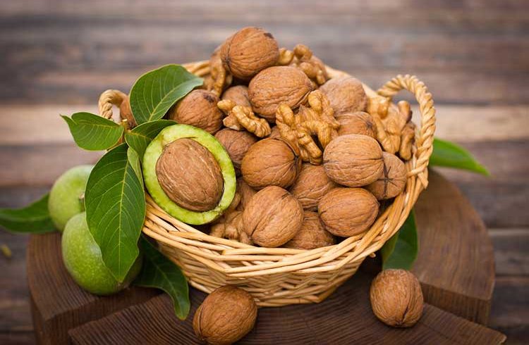 داستان پندآموز گوهر و گردو 