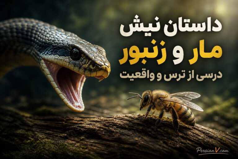 داستان نیش مار و زنبور: درسی از ترس و واقعیت