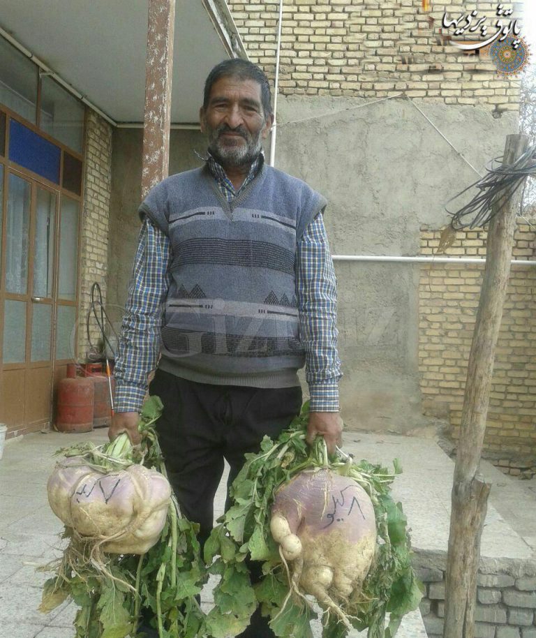 سوژه های بامزه و خنده دار (241) + تصاویر