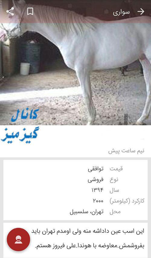 سوژه های بامزه و خنده دار (129) + تصاویر