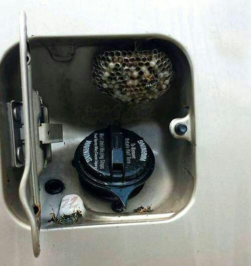 سوژه های بامزه و خنده دار (128) + تصاویر