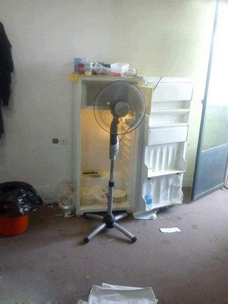 سوژه های بامزه و خنده دار (136) + تصاویر