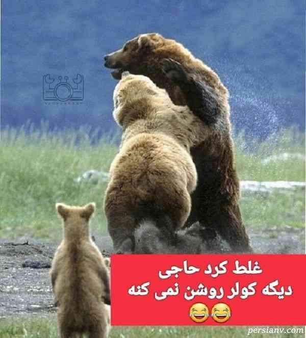 دعوا خرسها