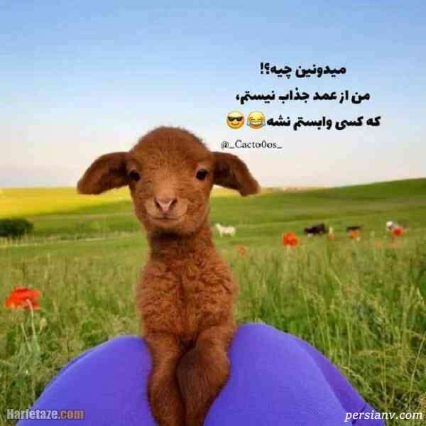 عکس بامزه عکس خنده دار