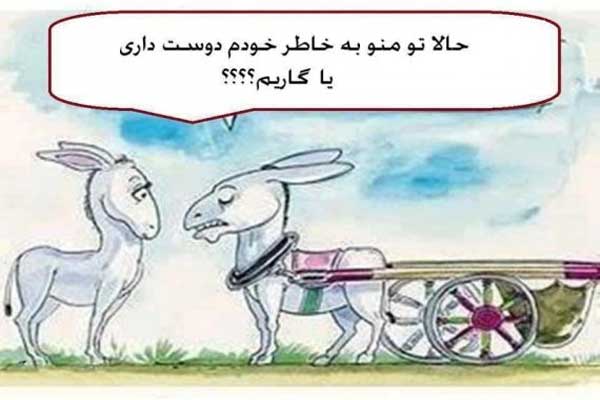 عکس های جالب و خنده دار از مهمان نوازی های جدید تا چند ساله بودی که فهمیدی ؟!