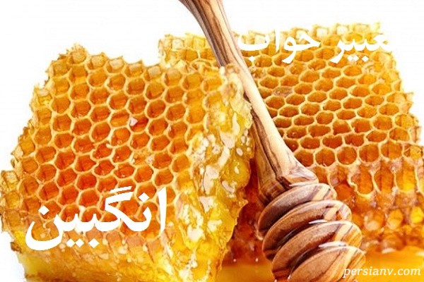تعبیر خواب انگبین ، دیدن انگبین در خواب چه تعبیری دارد ؟