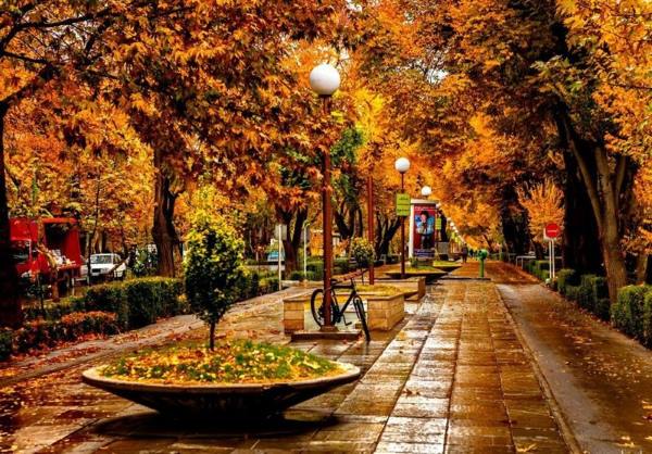 تعبیر خواب خزان , دیدن خزان در خواب چه تعبیری دارد؟