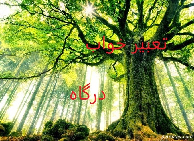 تعبیر خواب درگاه ، دیدن درگاه در خواب چه تعبیری دارد ؟