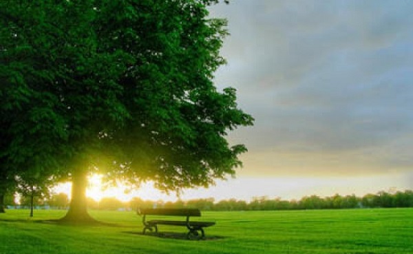 تعبیر خواب صبح