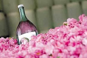 تعبیر خواب گلاب