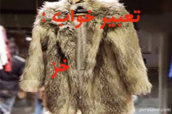 تعبیر خواب خز ، دیدن خز در خواب چه تعبیری دارد؟