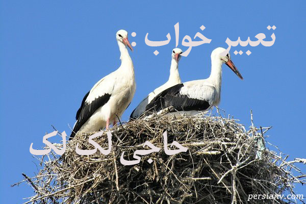 تعبیر خواب حاجی لک لک ، دیدن حاجی لک لک در خواب چه تعبیری دارد ؟
