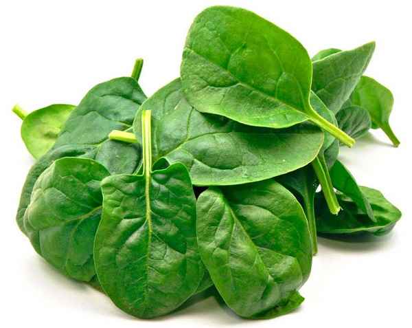 تعبیر خواب اسفناج