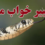تعبیر خواب مار زنگی
