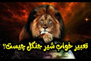 دیدن شیر جنگل در خواب ؛ ۴۵ تعبیر واقعی دیدن شیر در خواب از نگاه معبران مشهور  ؛ شیر جنگل در خواب نشانه چیست؟