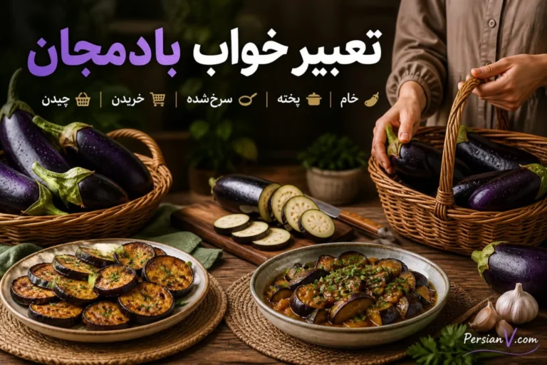 تعبیر خواب بادمجان؛ خام، پخته، سرخشده، خریدن و چیدن