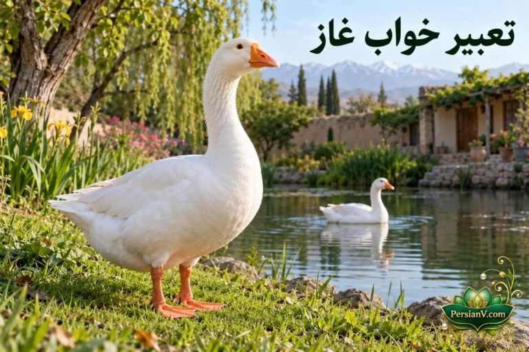 تعبیر خواب غاز؛ غاز سفید، حمله و نوک زدن، شنا و غذا دادن