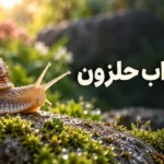 تعبیر خواب حلزون؛ معنی بزرگ و کوچک، بدون صدف و دیدن در خانه