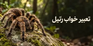 تعبیر خواب رتیل؛ معنی سیاه و بزرگ، نیش زدن، کشتن و دیدن در خانه