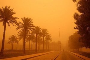 کاریکاتور منو این همه خوشبختی محال، محال…