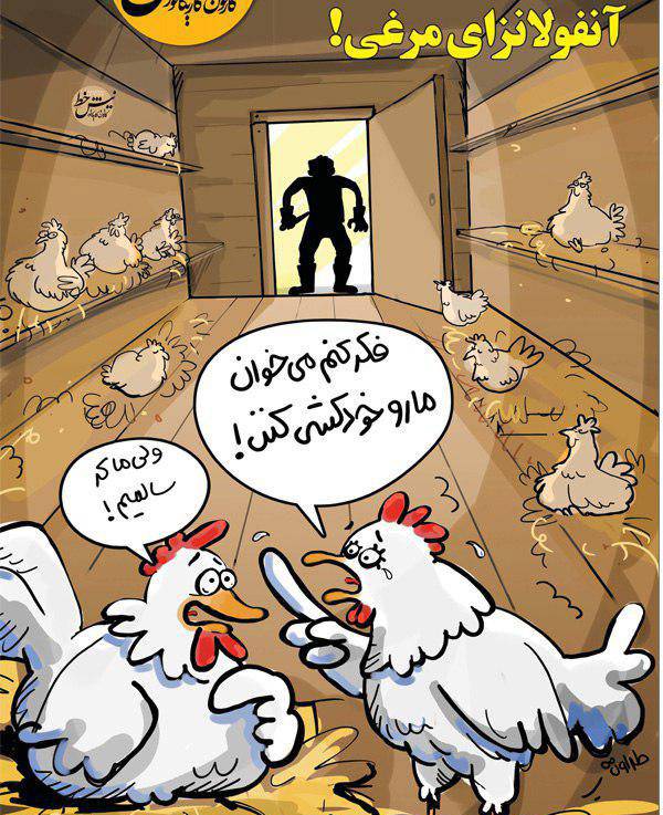 کاریکاتور آنفلوانزای پرندگان و انتقال آن به انسان کاریکاتور آنفلوانزای پرندگان