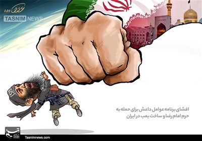 کاریکاتور حمله به حرم امام رضا