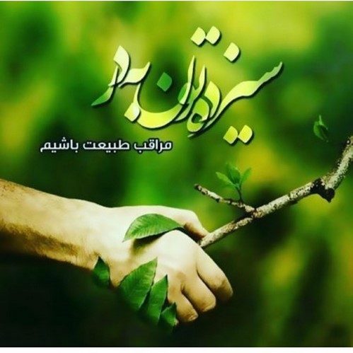 چهره ها در شبکه های اجتماعی 530