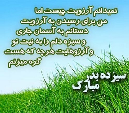 پرستو صالحی چهره های مشهور در 13 بدر 97