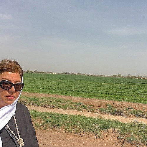 چهره ها در شبکه های اجتماعی 594