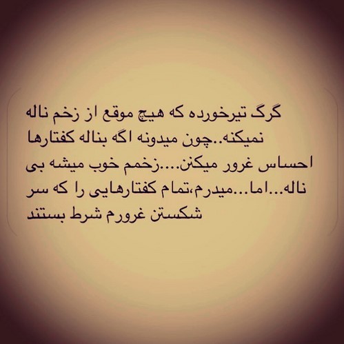 چهره ها در شبکه های اجتماعی 603