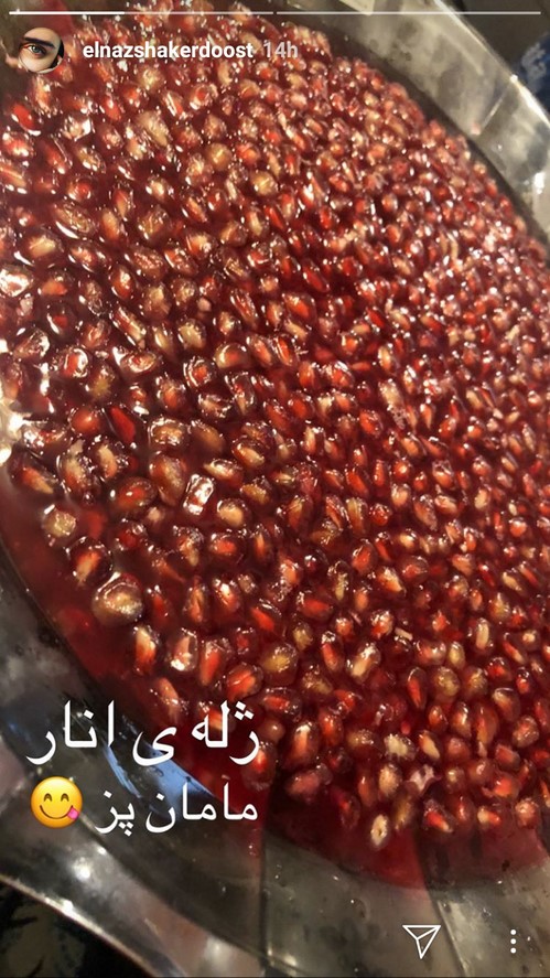 الناز شاکردوست بازیگران در شب یلدا