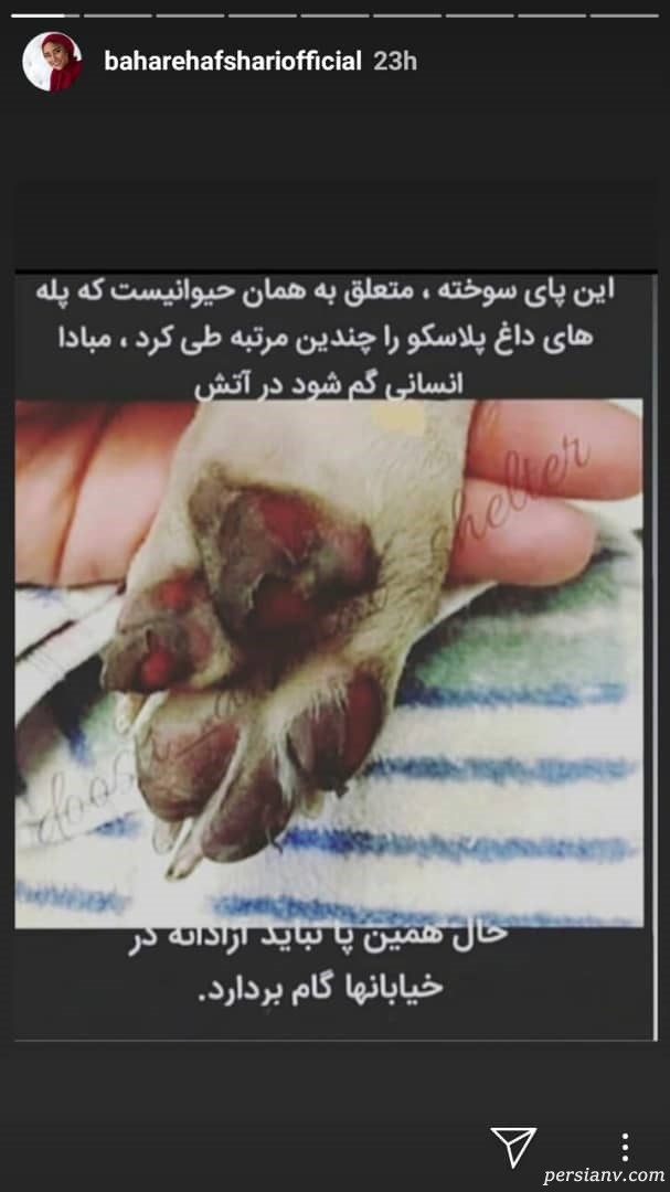اینستاگرام هنرمندان 225 اینستاگرام هنرمندان 225