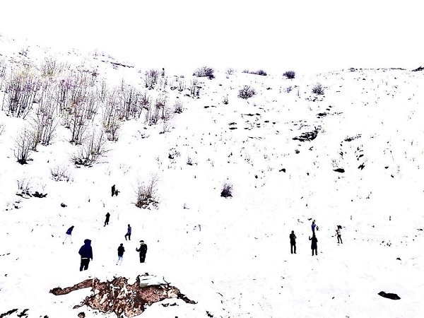 چهره ها در شبکه های اجتماعی 747